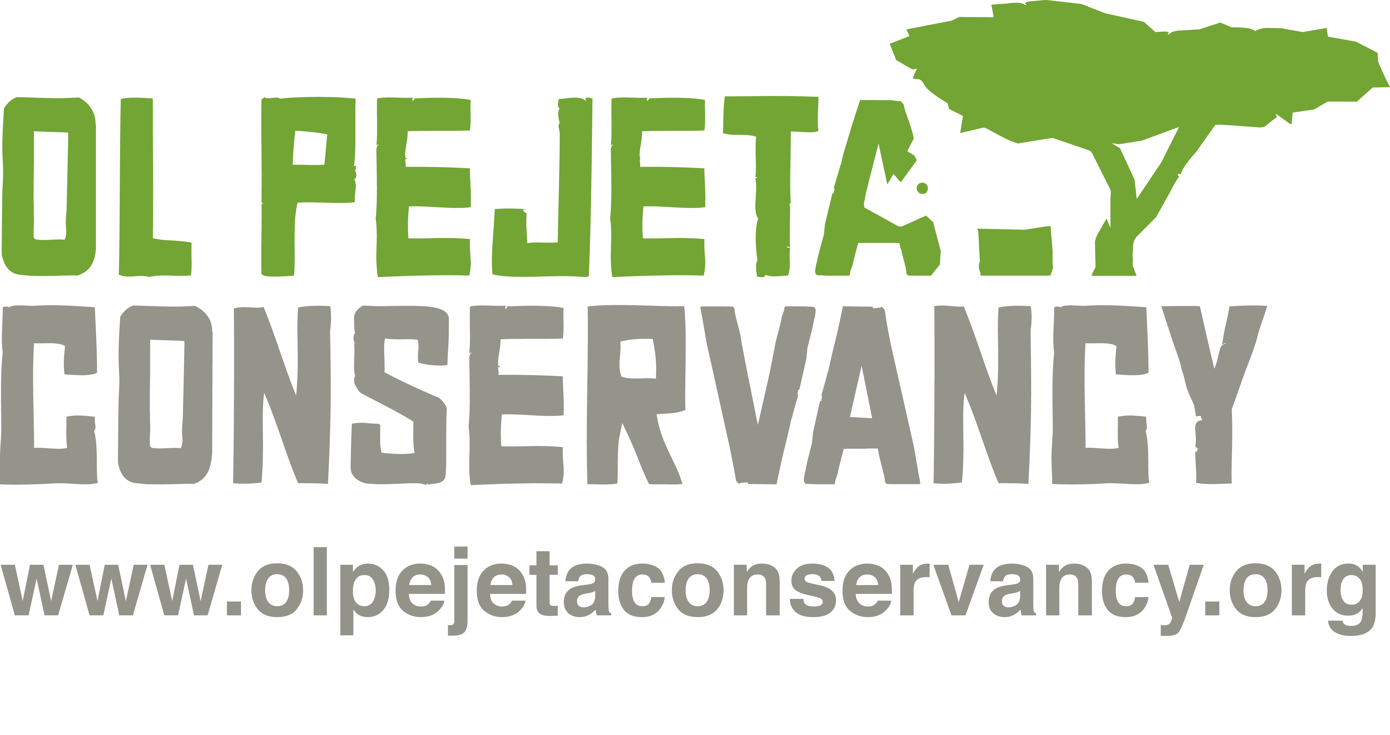 Job opportunity: Head of Partnership Funding & Business Development