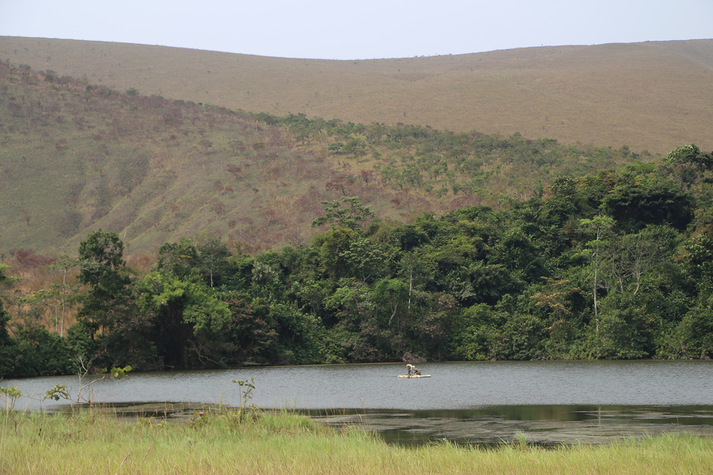 Estimating the extent of tropical forests in Africa around 1900
