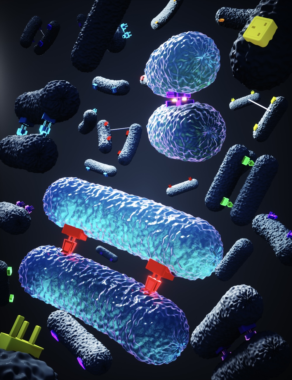 Unraveling bacterial interactions during conjugation