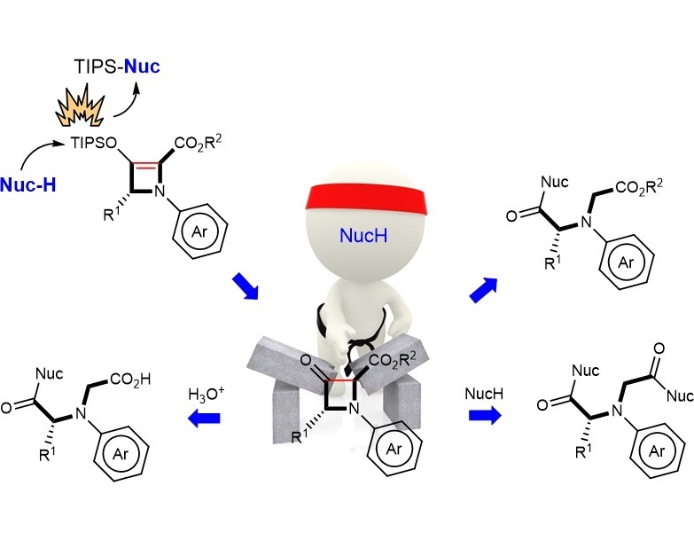 Functionalization of nucleophiles with chiral azetines