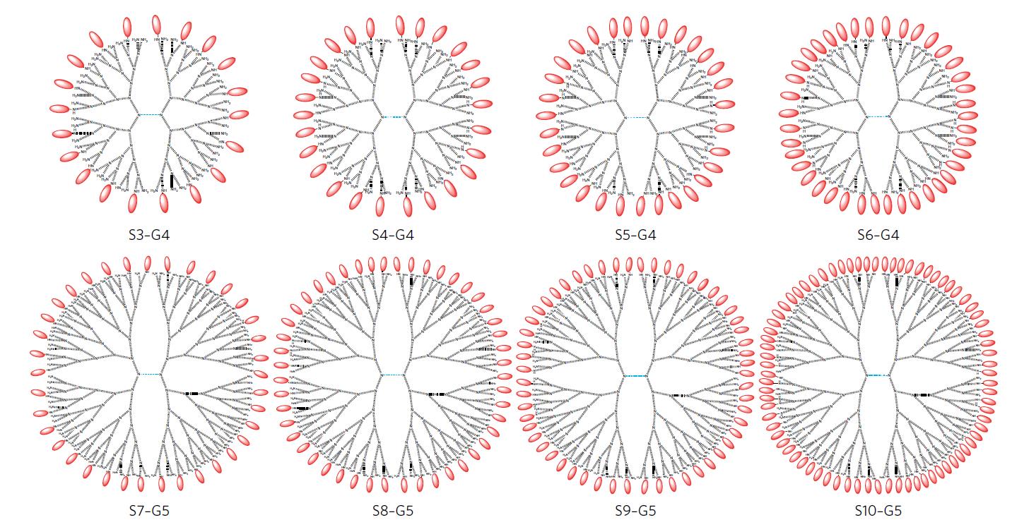 Crowded dendrimers are worse inhibitors