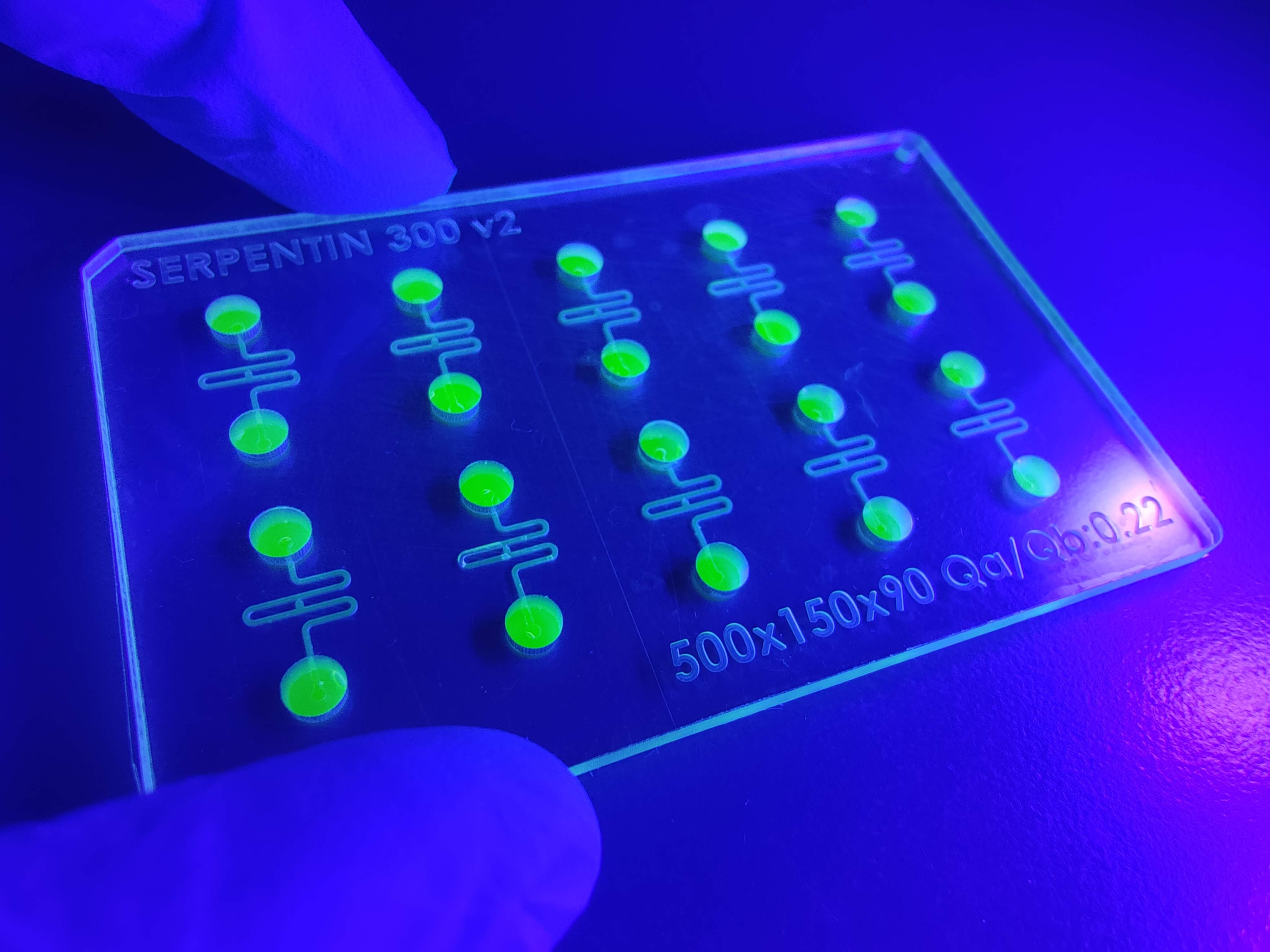 Emulating perfusable vascular networks with organoid-on-chip models
