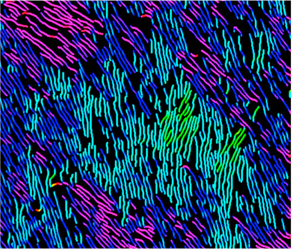 Functional Nanoparticles through π-Conjugated Polymer Self-Assembly