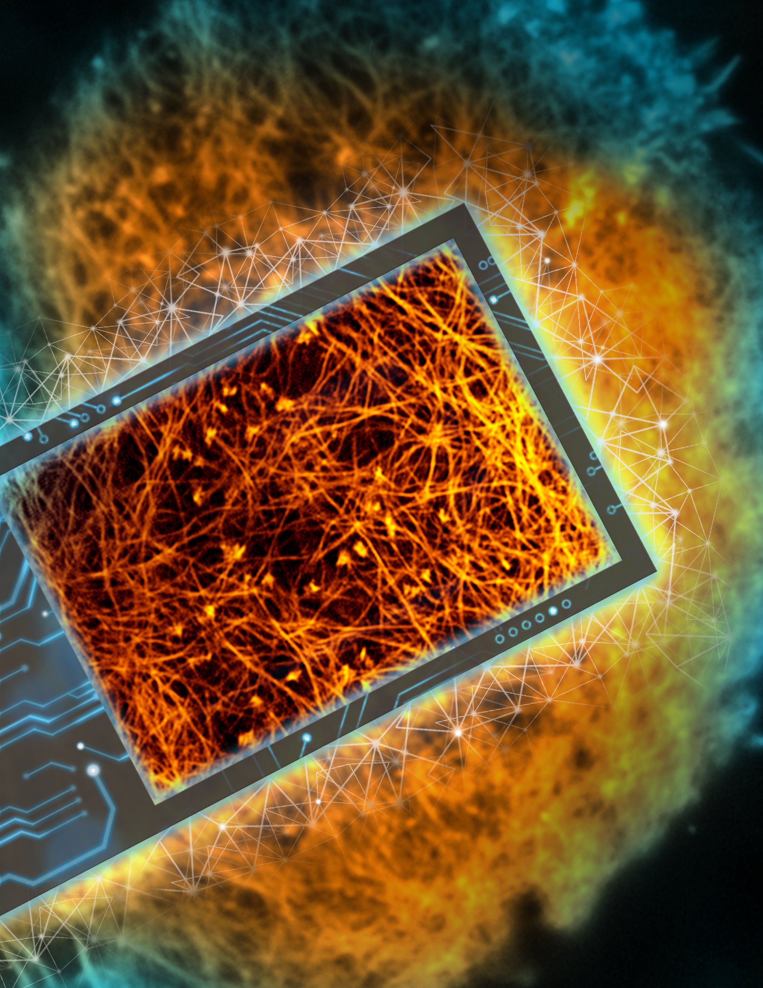 How to make deep learning in microscopy more rational?