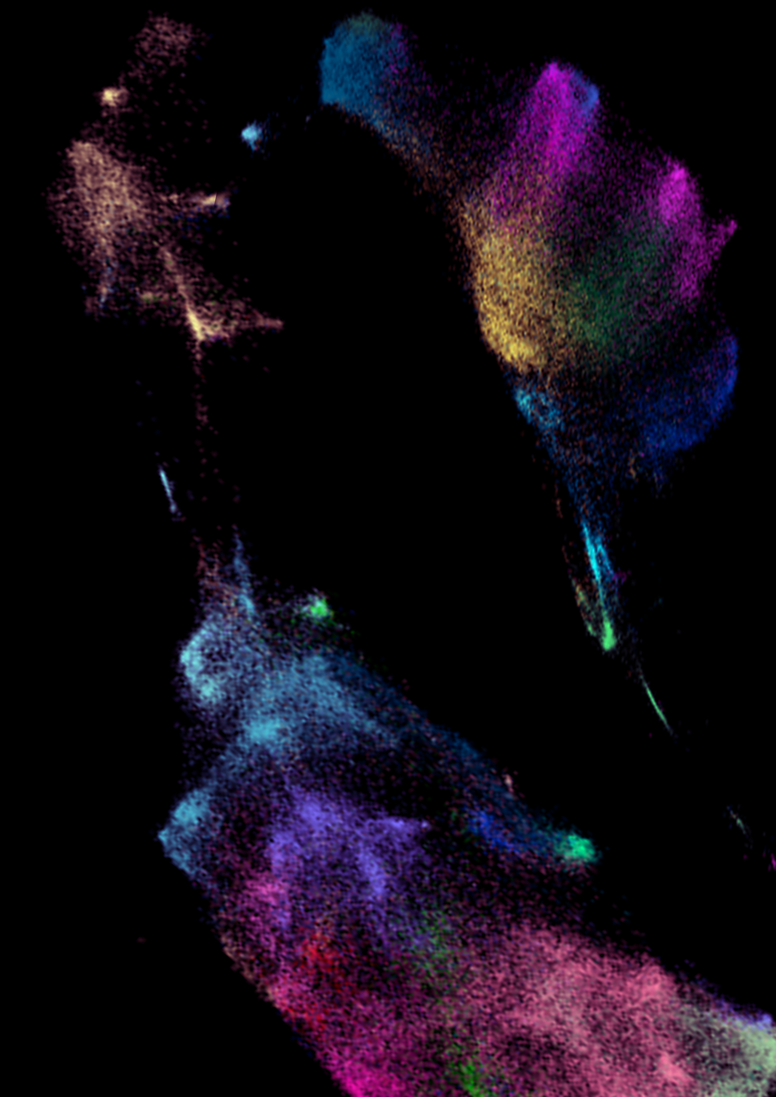 Coupling T cell differentiation to the lung cancer mutanome via neoantigen surveillance 