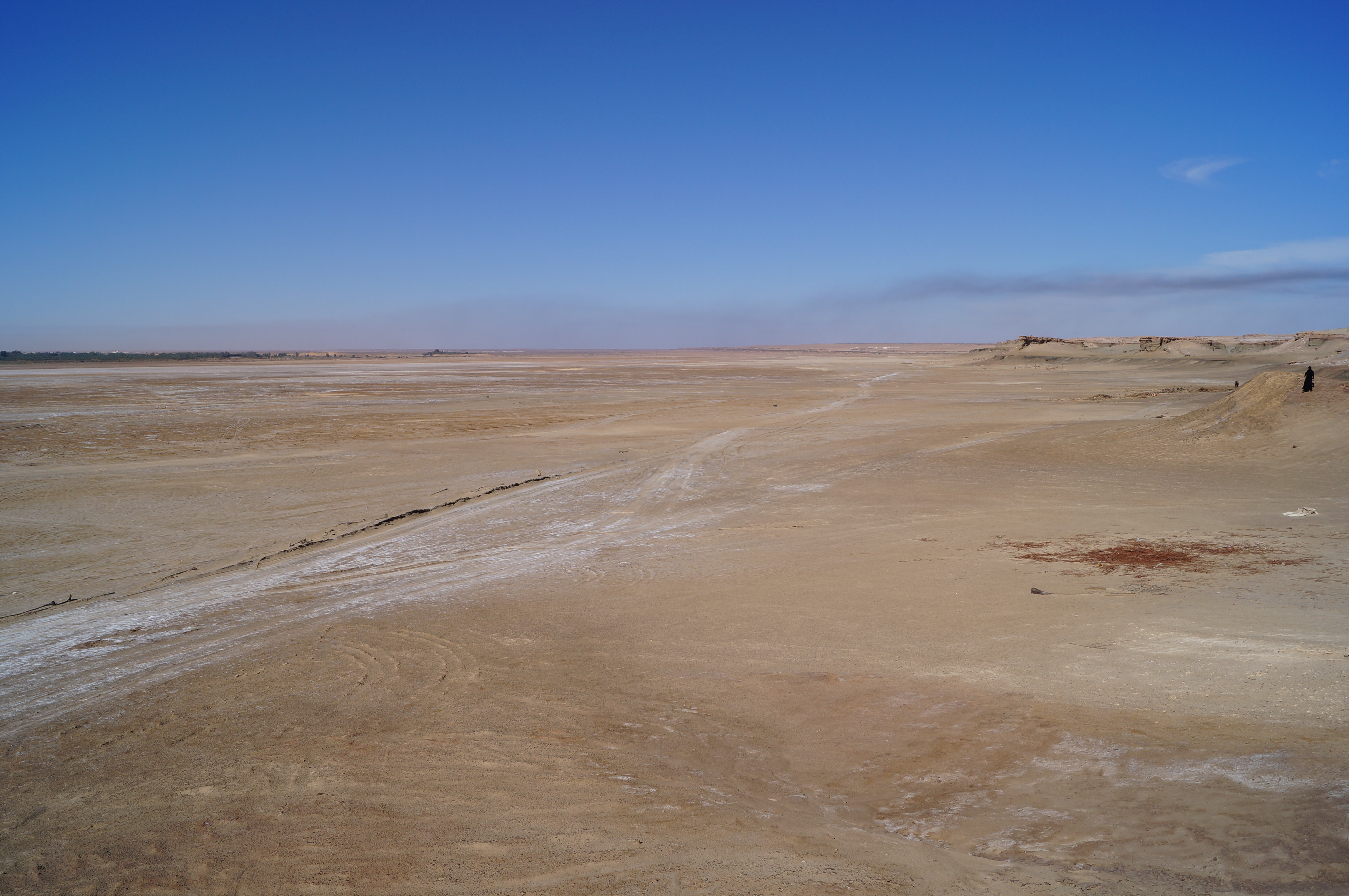 Hidden traces of Green Arabia