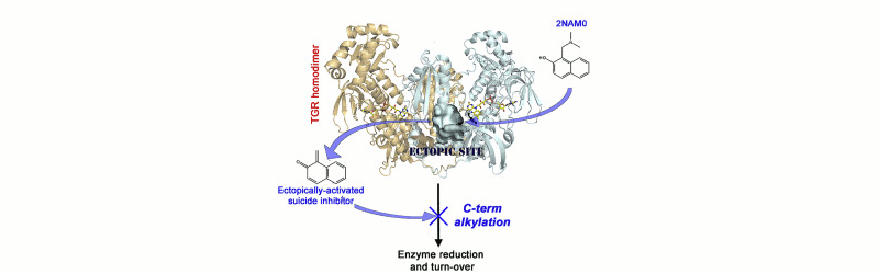 Ectopic activation of suicide inhibitors