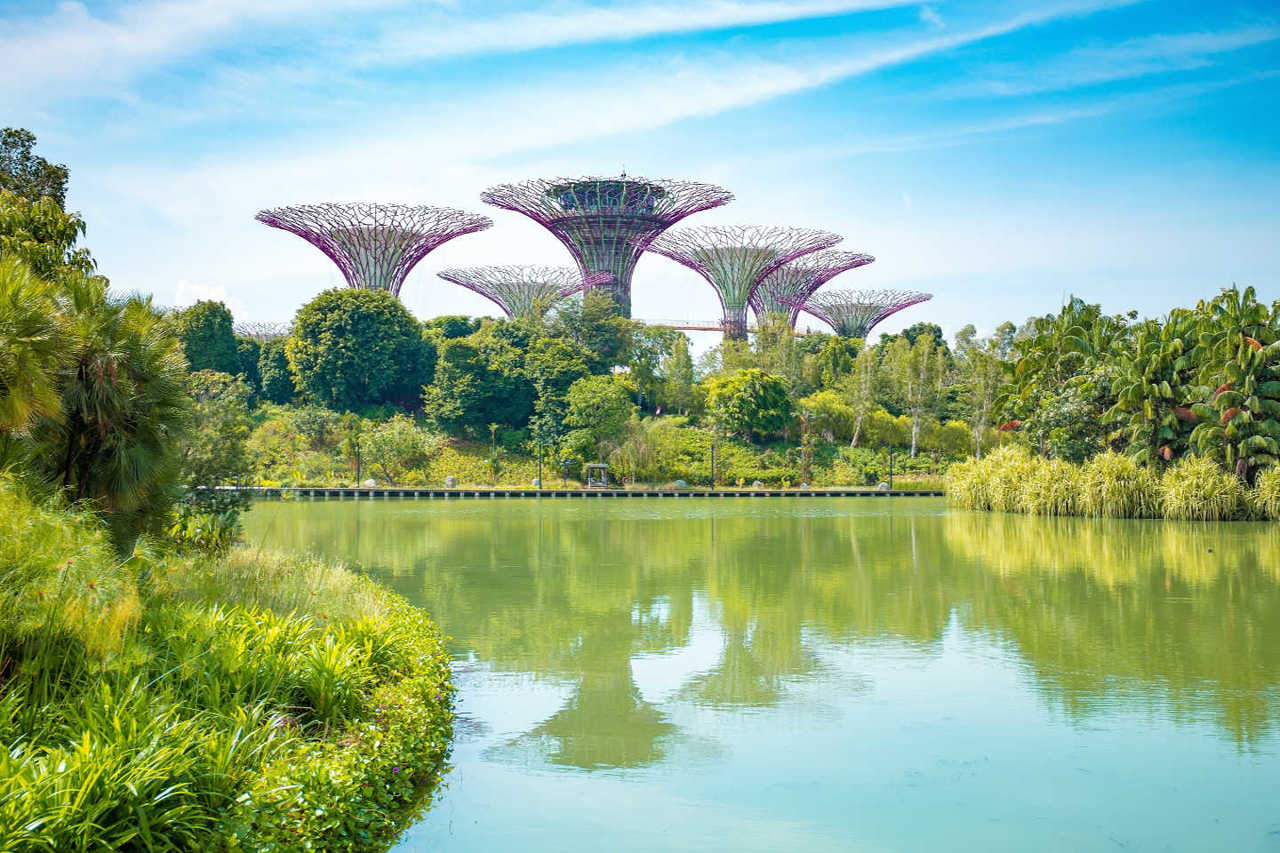 Conserving native biodiversity in a high density city: the Singapore Experience