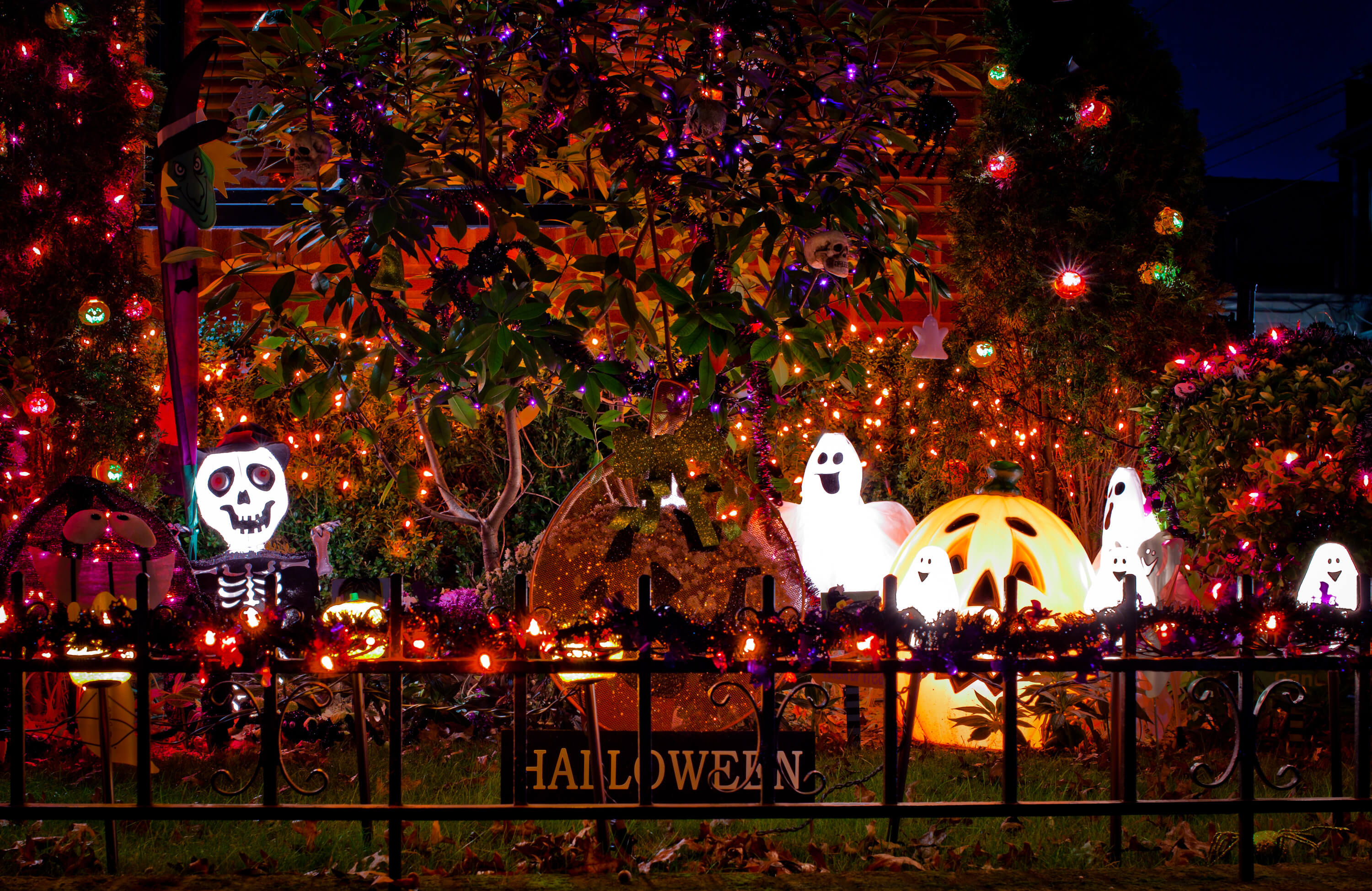 6 Halloween Light Shows to Visit in the US