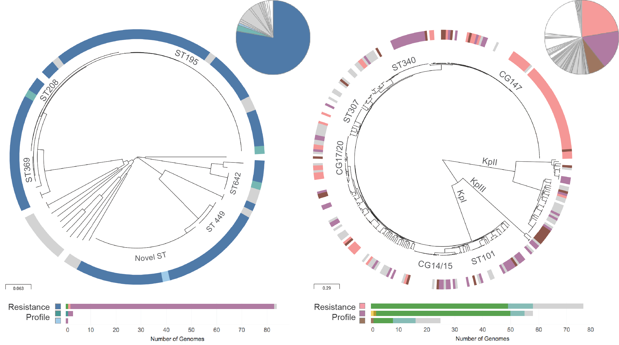 International collaboration as a model to integrate whole-genome sequencing into national antimicrobial resistance surveillance systems in low- and middle-income countries