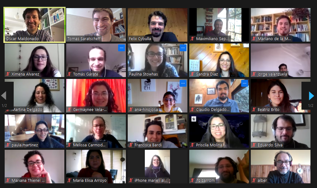 Advanced Online Conservation Standards Training for Practitioners in Chile