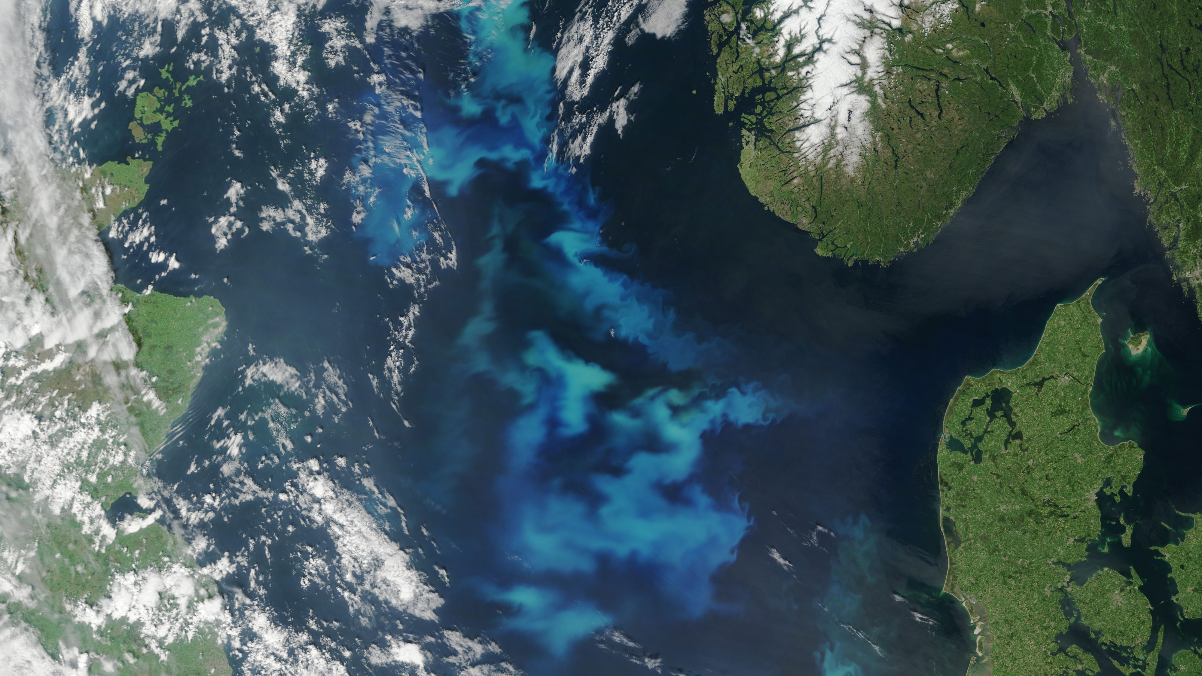 A microbial system with unexpectedly low complexity?