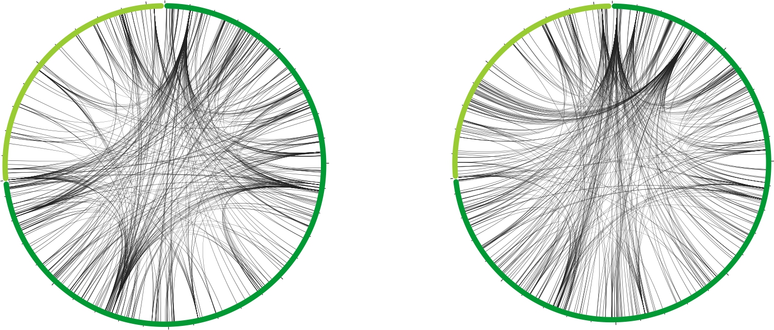 An RNA sponge modulates quorum sensing dynamics