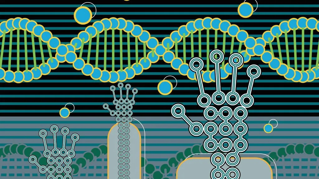 Nature Conference: Innovative Tissue Therapies from Bench to Bedside