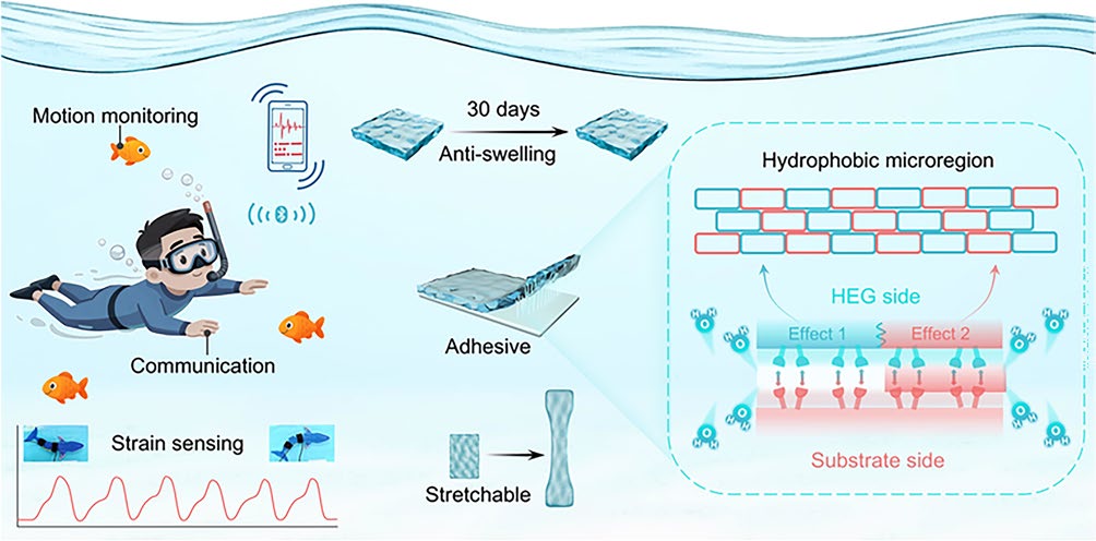 Hydrophobic Eutectogels Reinforced by Zn2+-Coordinated Lignin Nanoparticles for Underwater Wearable Electronics