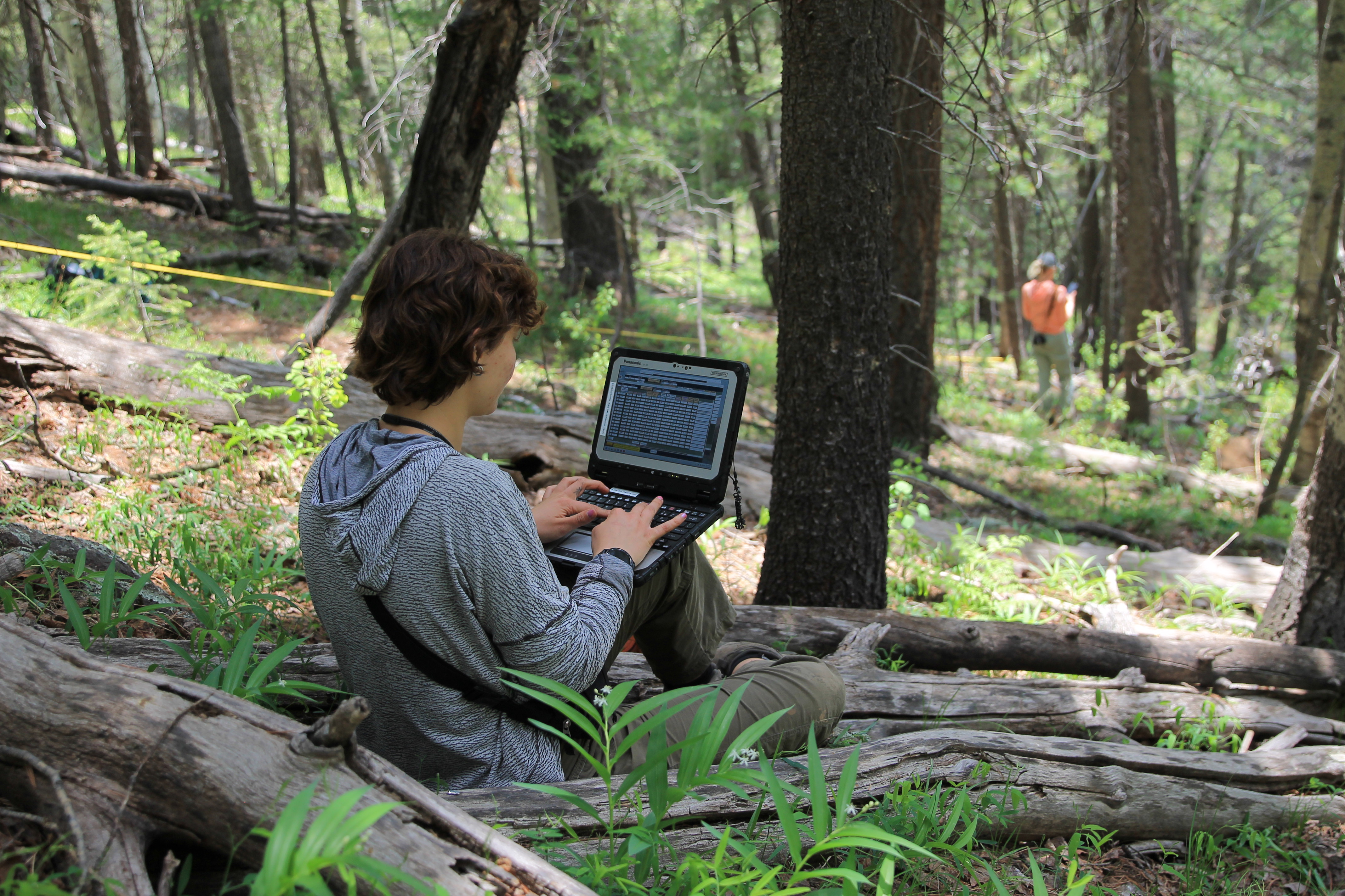 Fuel Treatment Data Without Barriers: The Story of TWIG