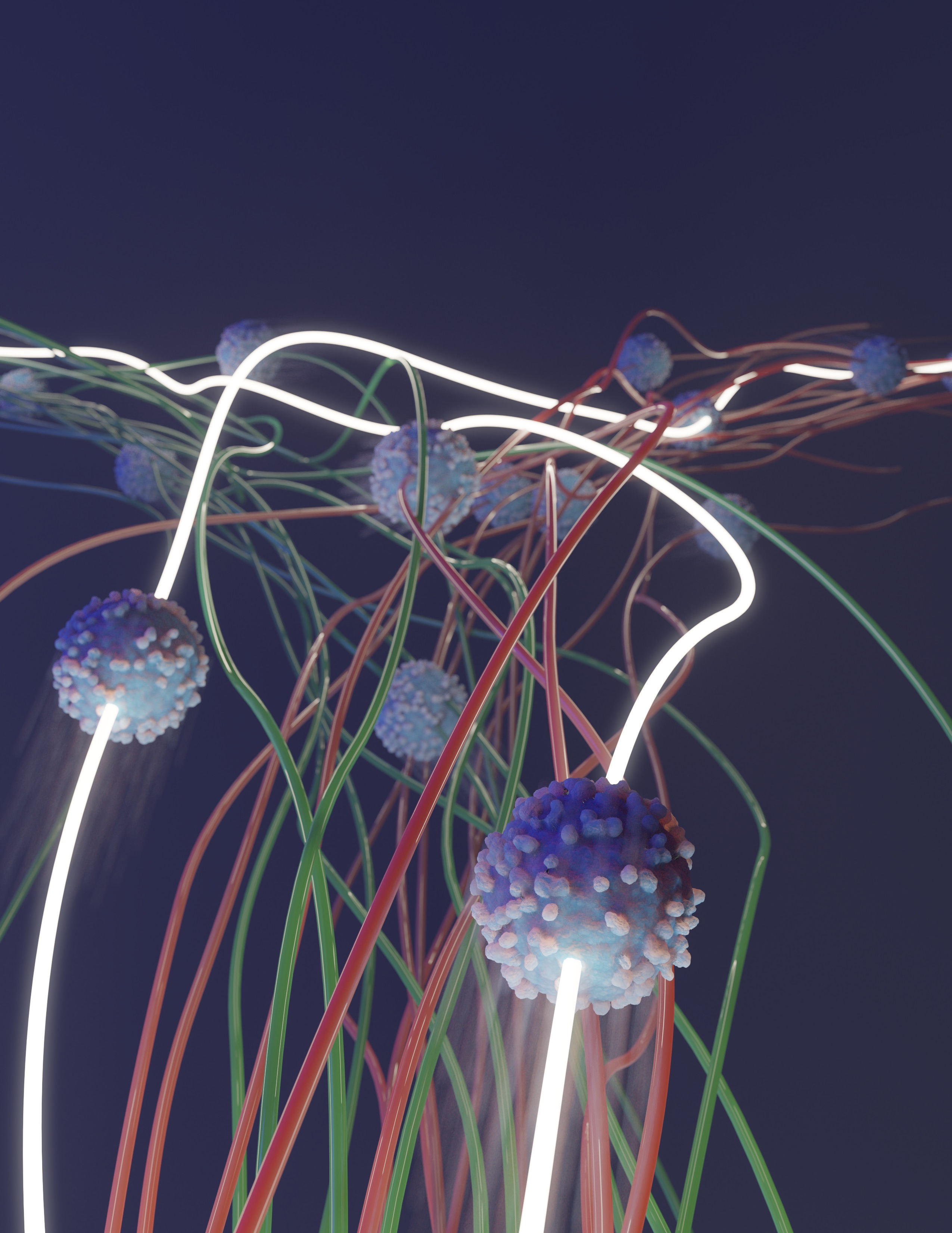 Tracking cell division with mass cytometry