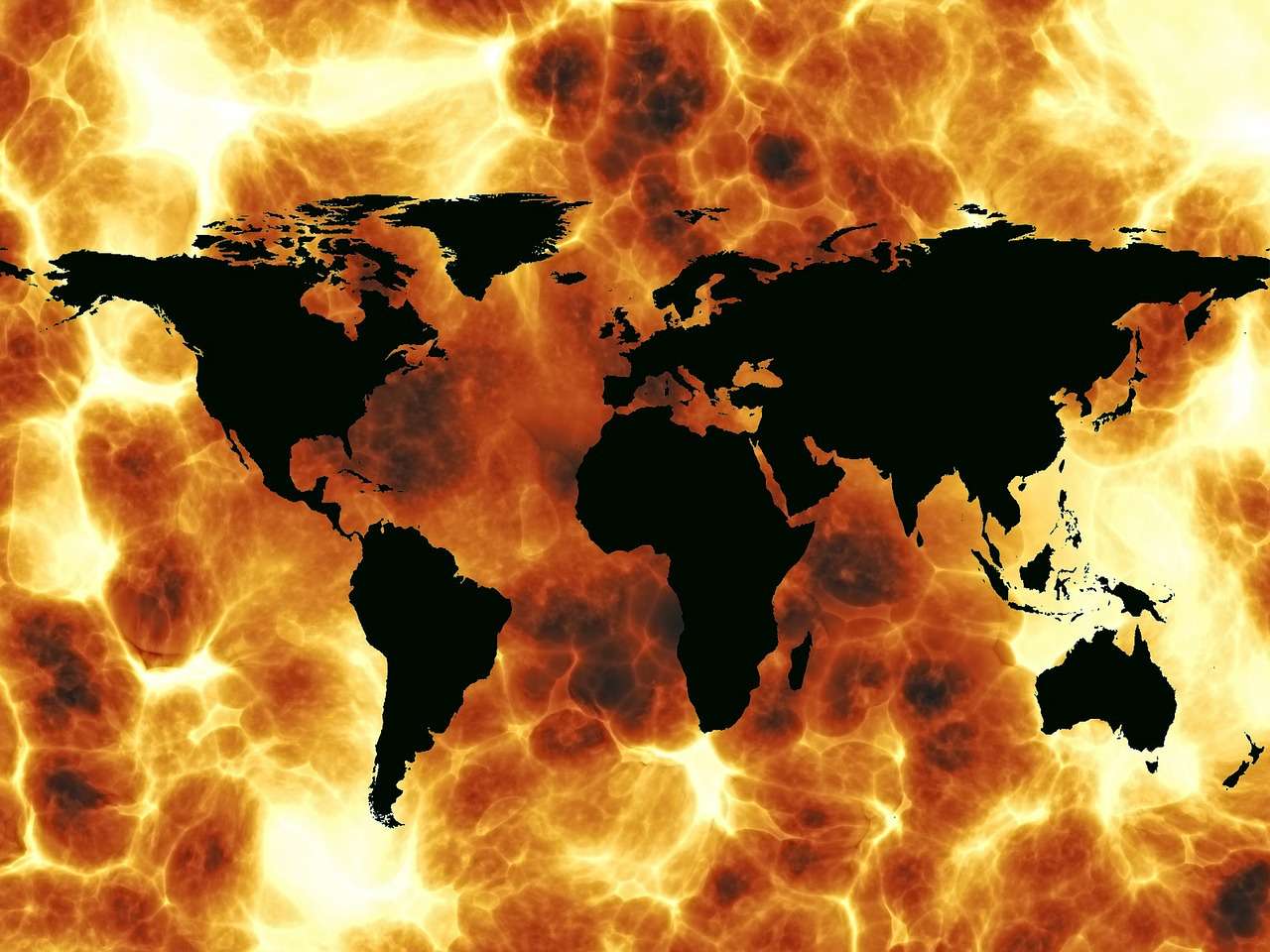 Challenges in molecular life science education: internationalization in higher education