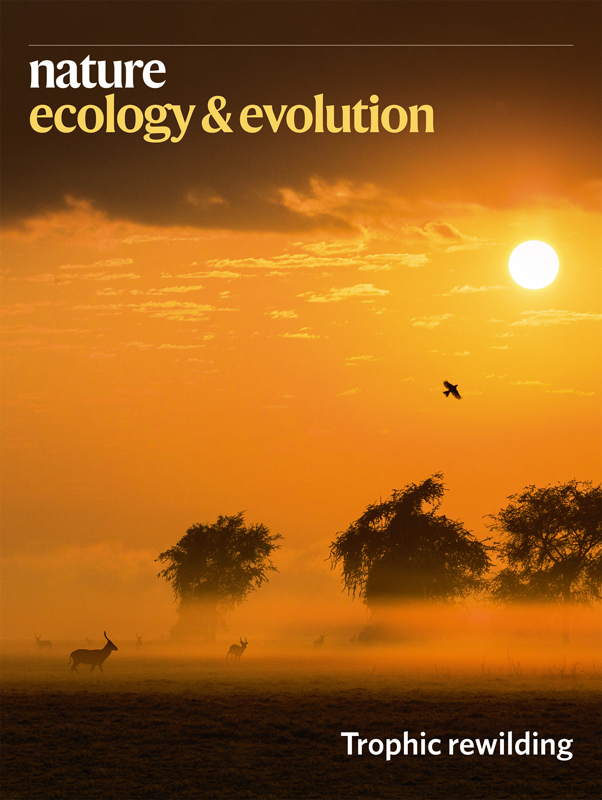 Gallery | May 2020 cover
