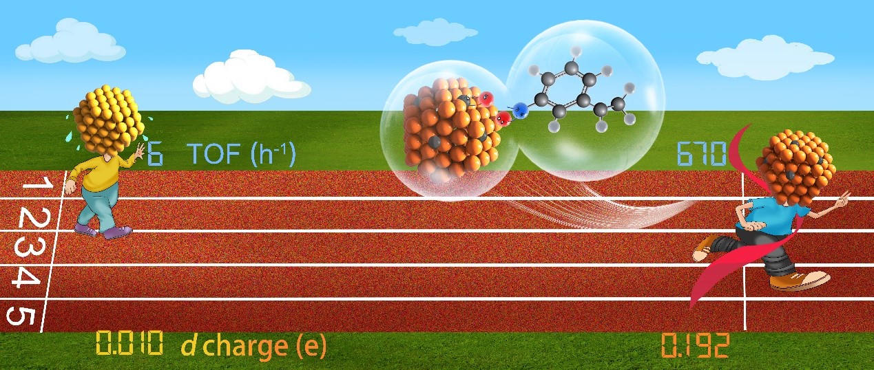 Can a C-Au interstitial solid solution be formed and boost hydrogenation?