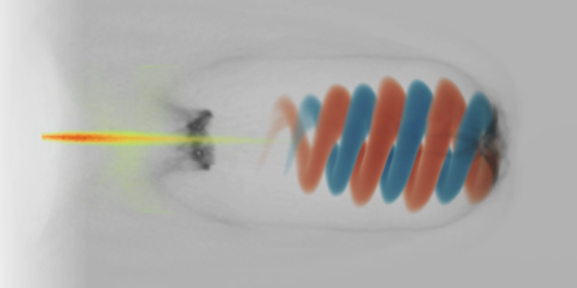 The interaction of vortex light with boron hydrides