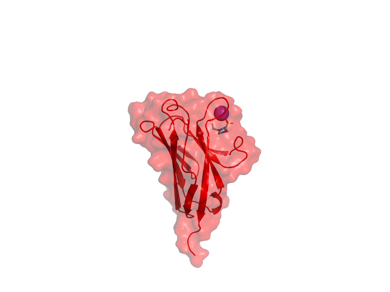 For receptors, sometimes it's what's on the inside that counts 