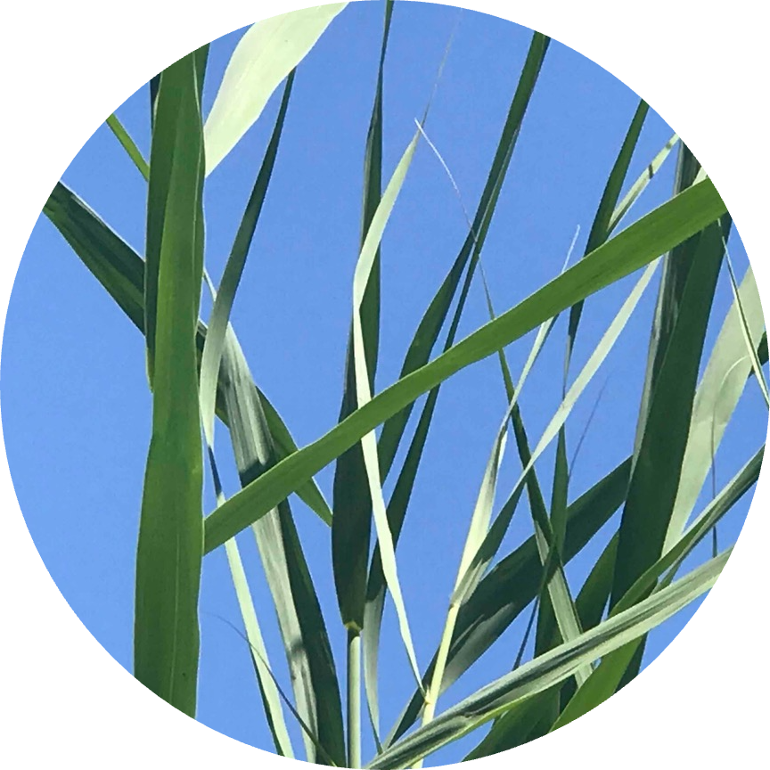 Go to the profile of Vivien Marx