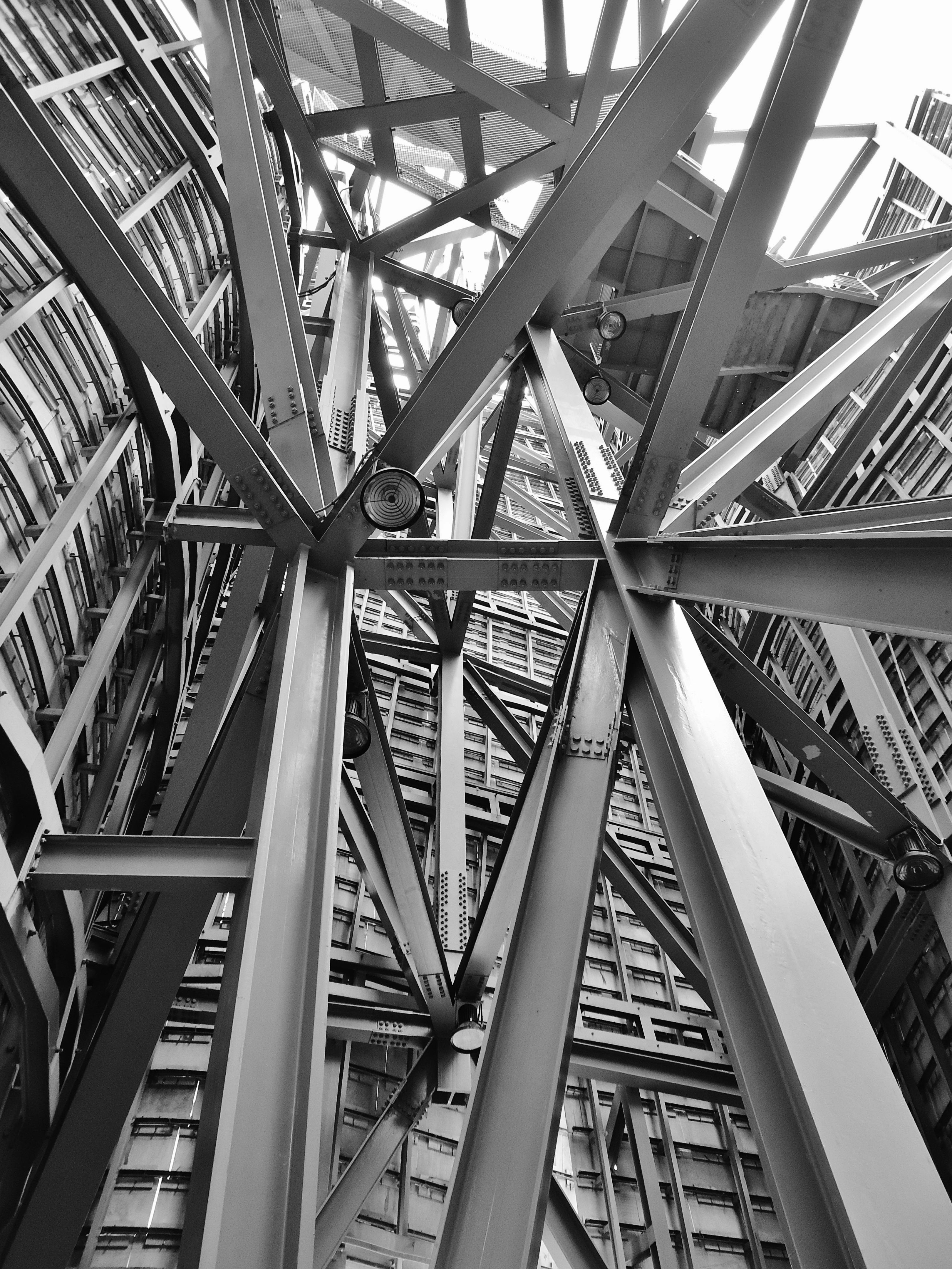 From the Editor: "Rebuilding Biology, Not Just Models: Why Microenvironments Are the New Currency of Translation"