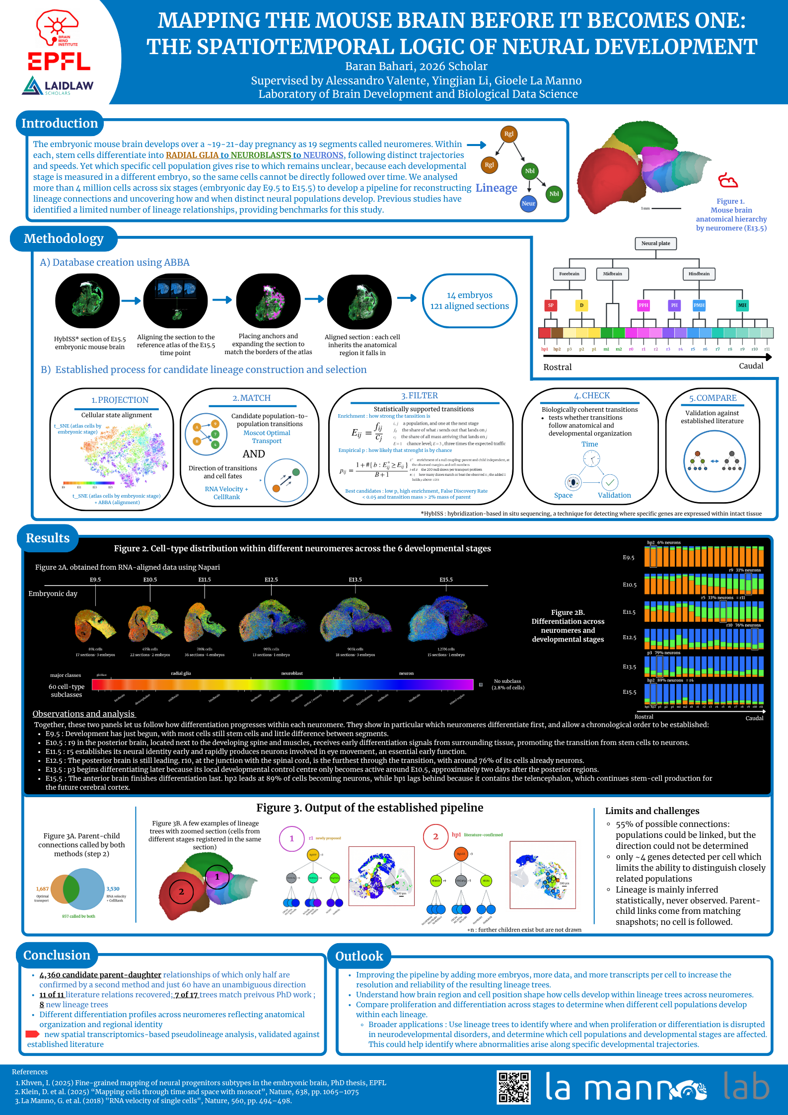 Mapping the Mouse brain before it becomes one: the spatiotemporal logic of neural development