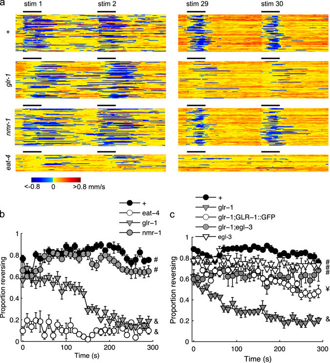 Editorial Summary—Habituation as an adaptive shift in response strategy mediated by neuropeptides