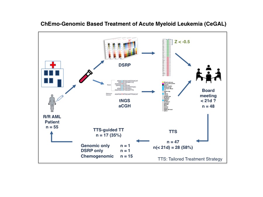 A chemogenomic approach to identify personalized therapy for patients with relapse or refractory acute myeloid leukemia: results of a prospective feasibility study