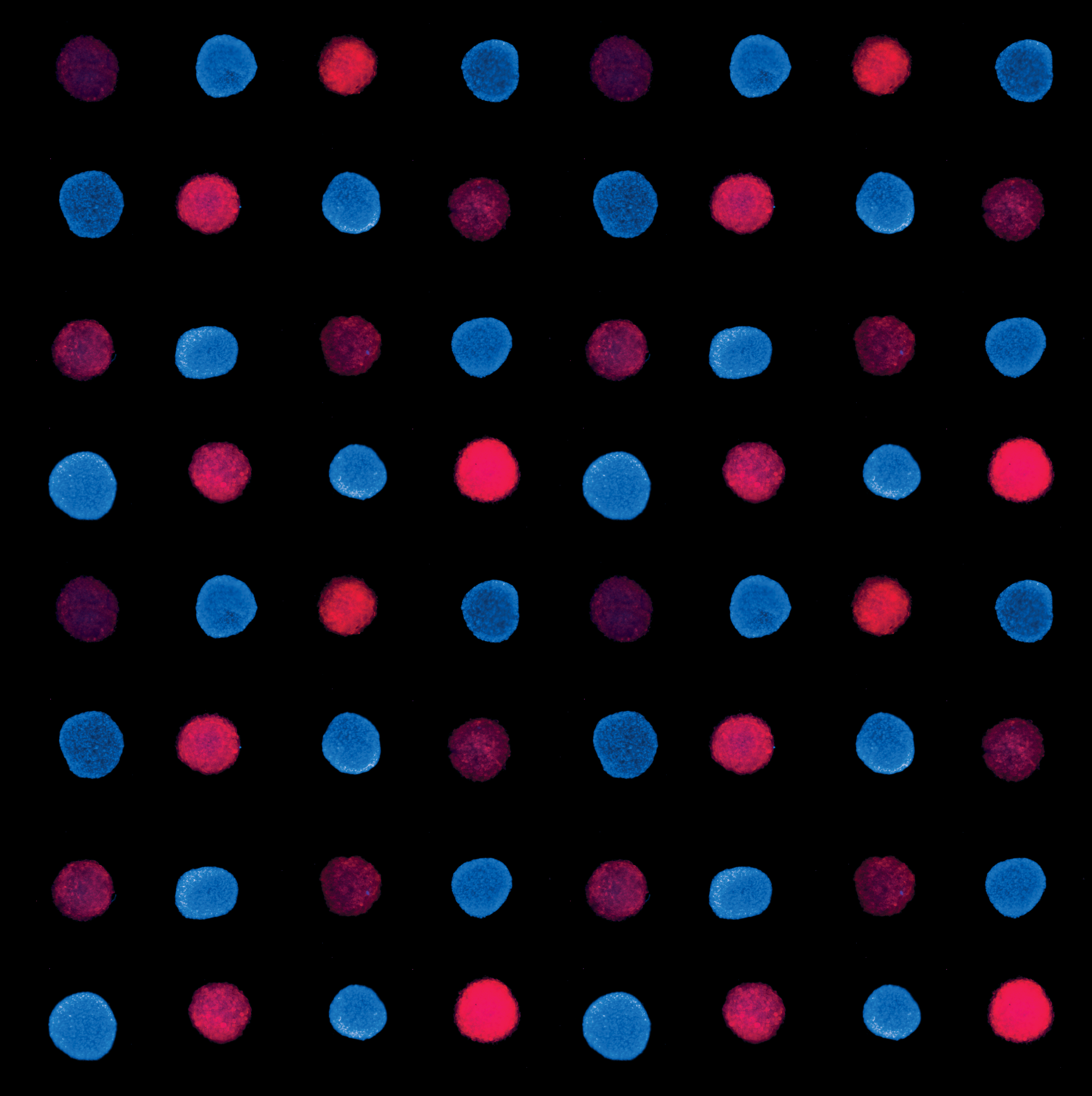 Aspiration-Assisted Bioprinting of Spheroids