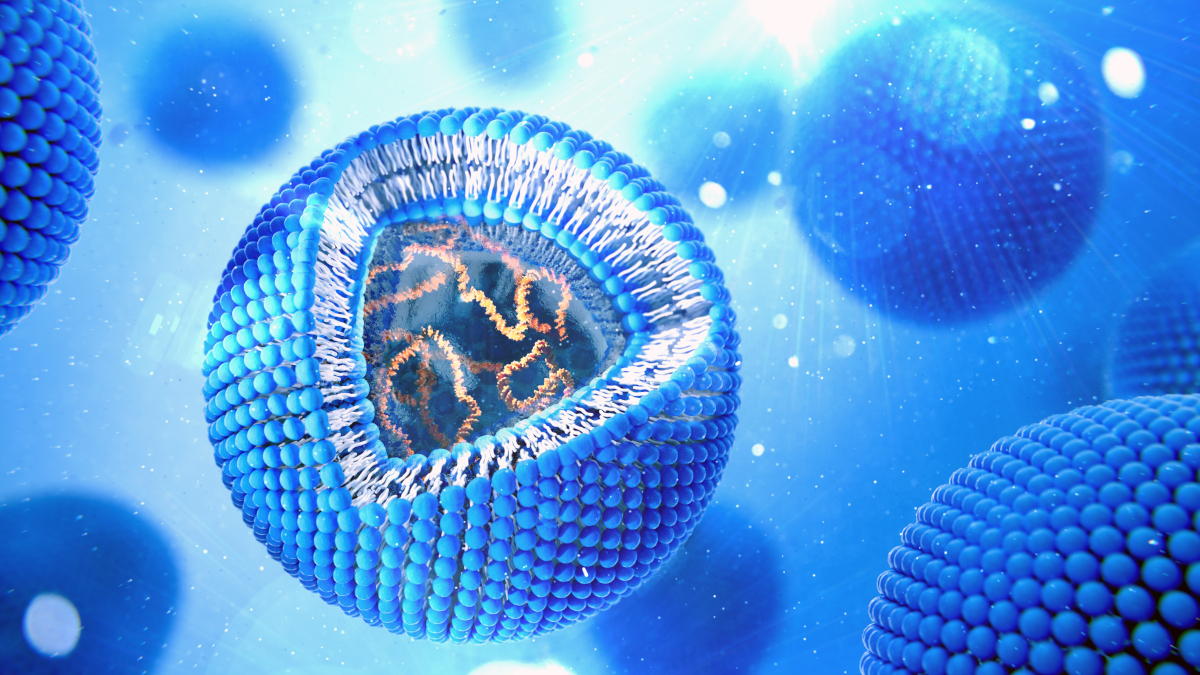 Call for papers: Soft materials for drug delivery
