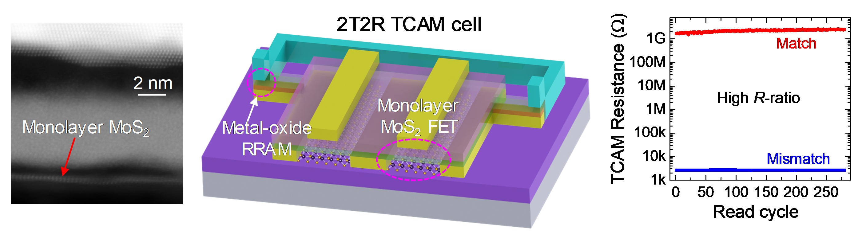 Integrated 2D transistors and RRAMs enable in-memory parallel data search