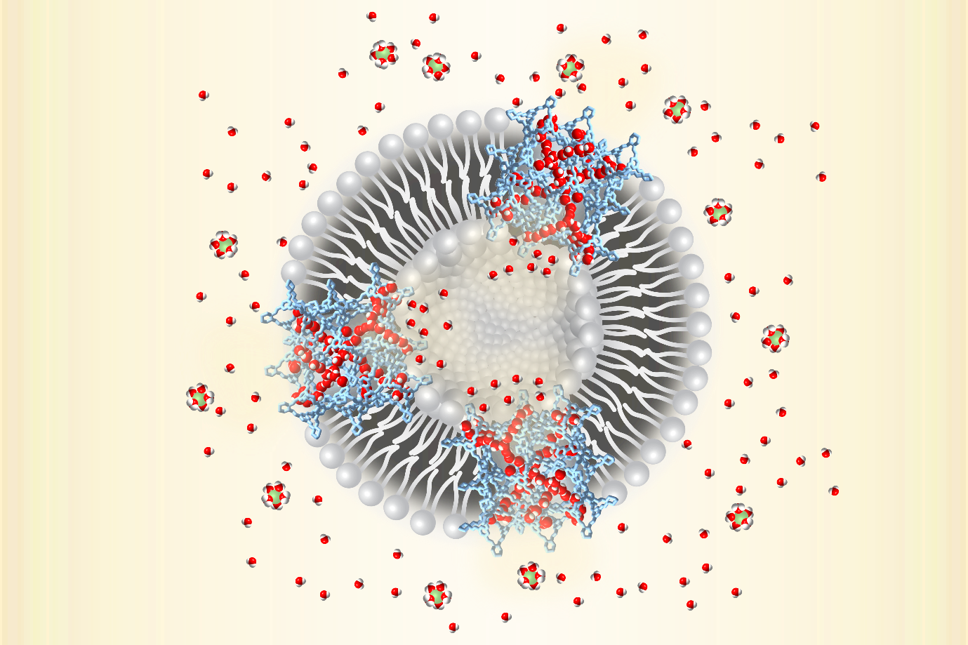 A New Type of Synthetic Water Channels