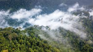  Areas important for biodiversity contribute to human well-being