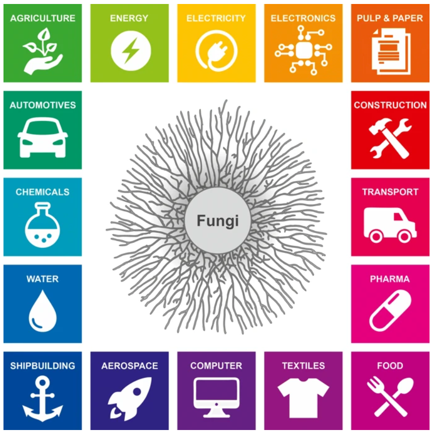 Journal Club: Using Fungal Biotechnology to revolutionize how we combat climate change