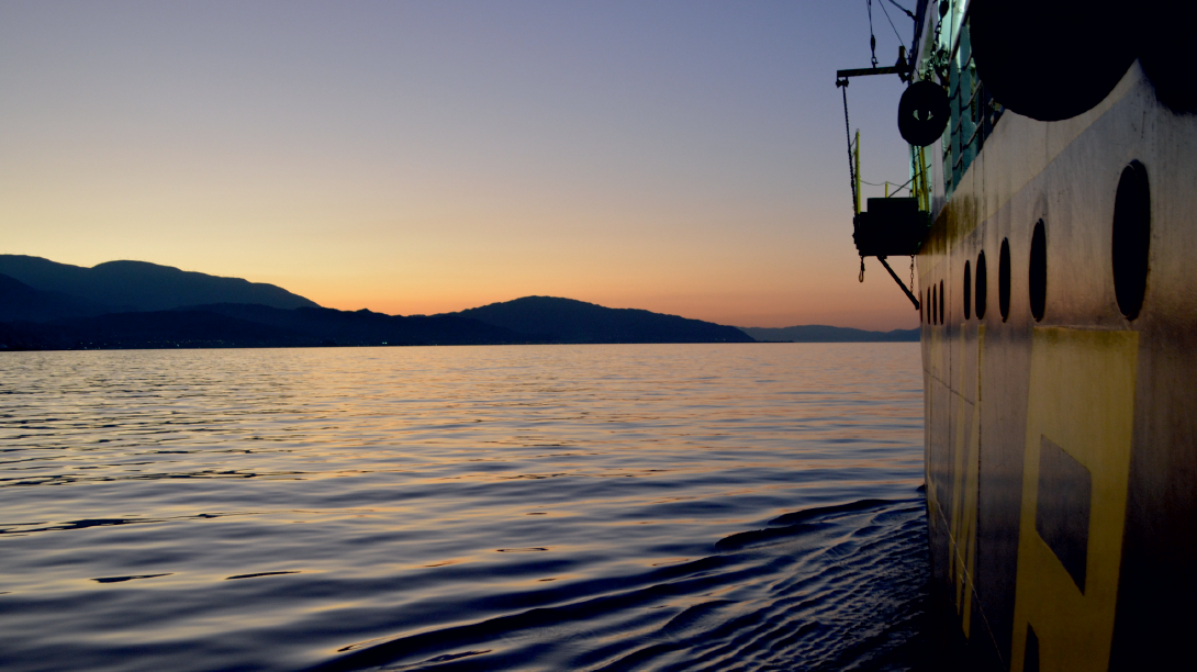 Uncovering the Black Sea's hidden role in the formation of Sapropel S1