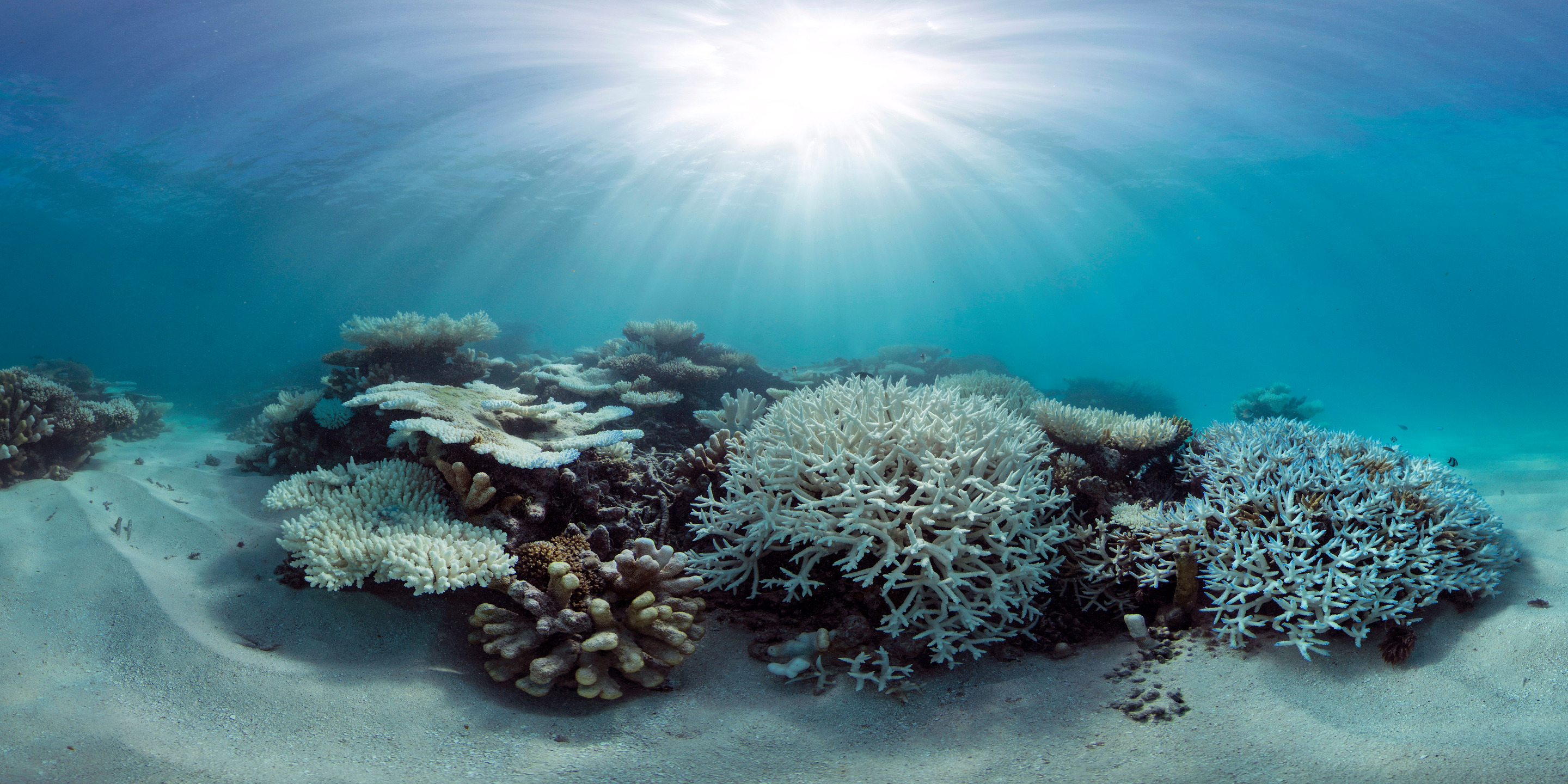 At the ocean crossroads: together we have the power to change threats into opportunities