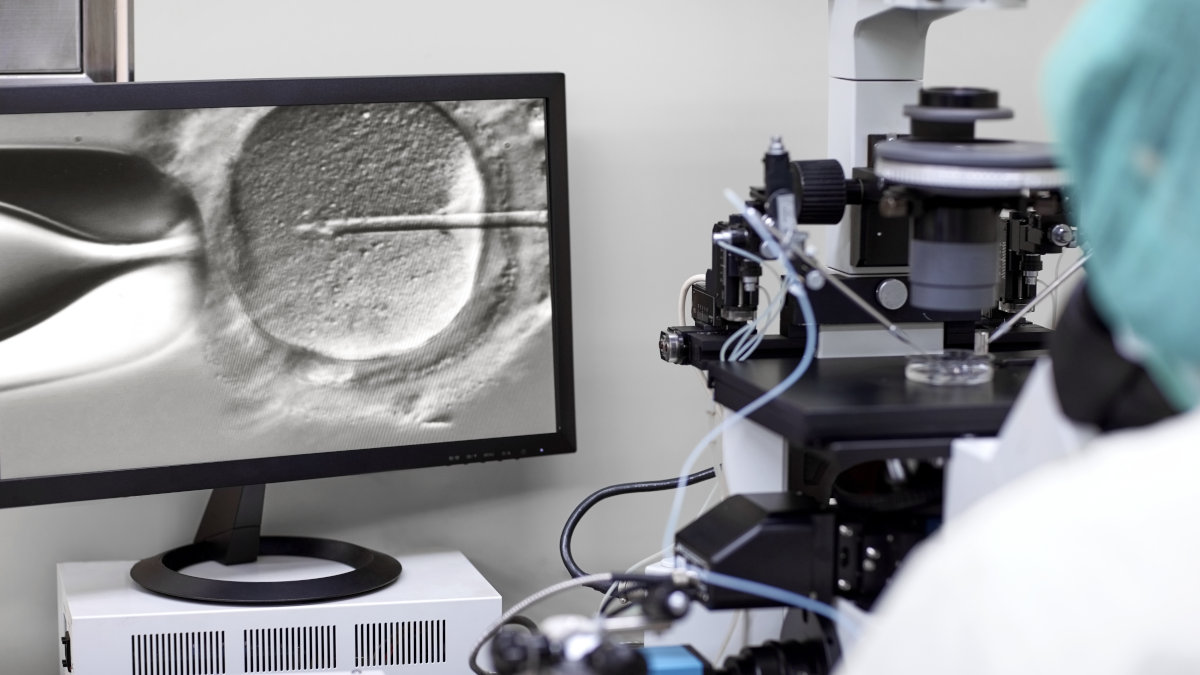 Call for papers: Advances in embryonic development Collection