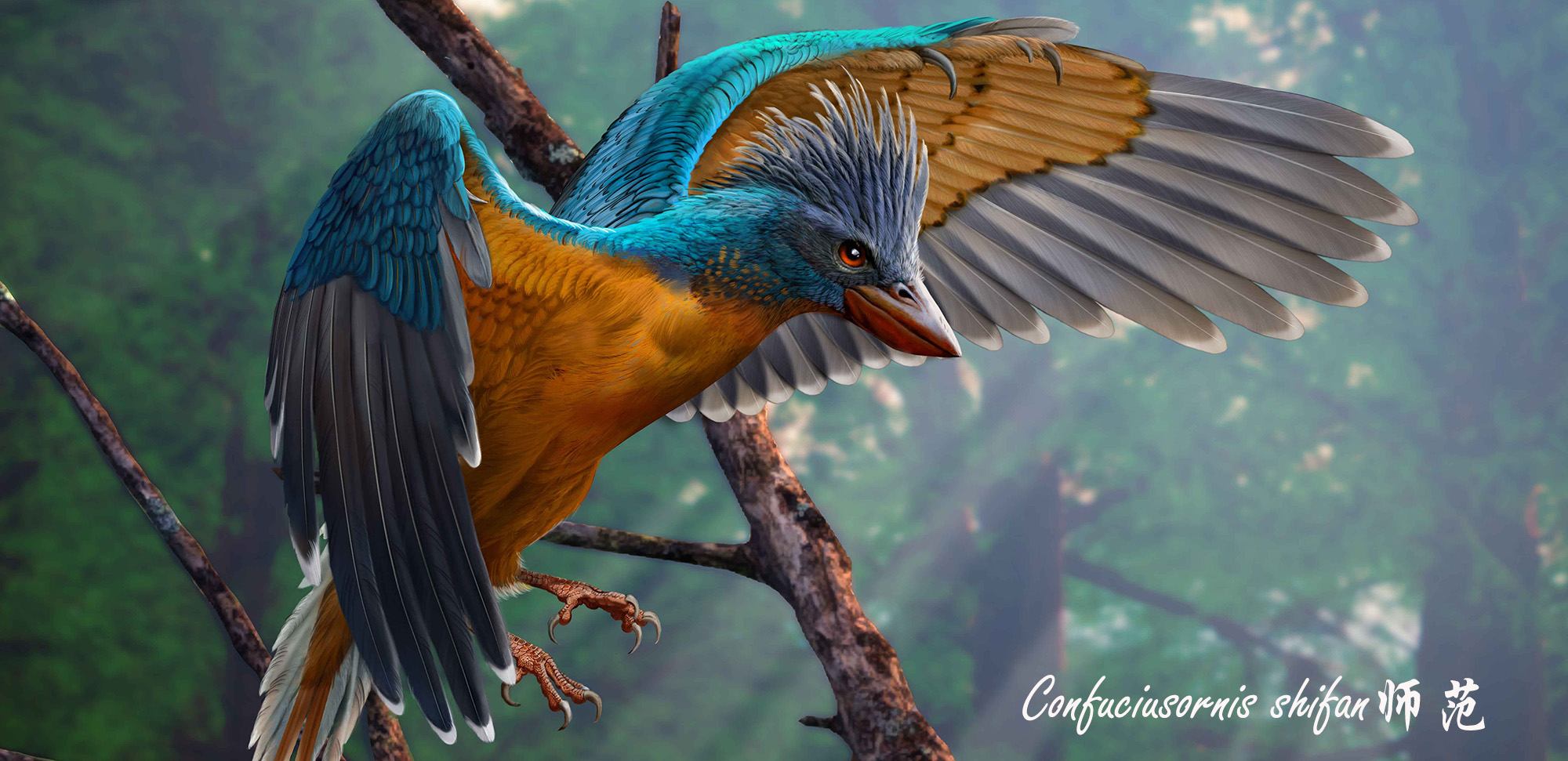 A new specimen illuminates the story of flight evolution in an iconic group of early birds