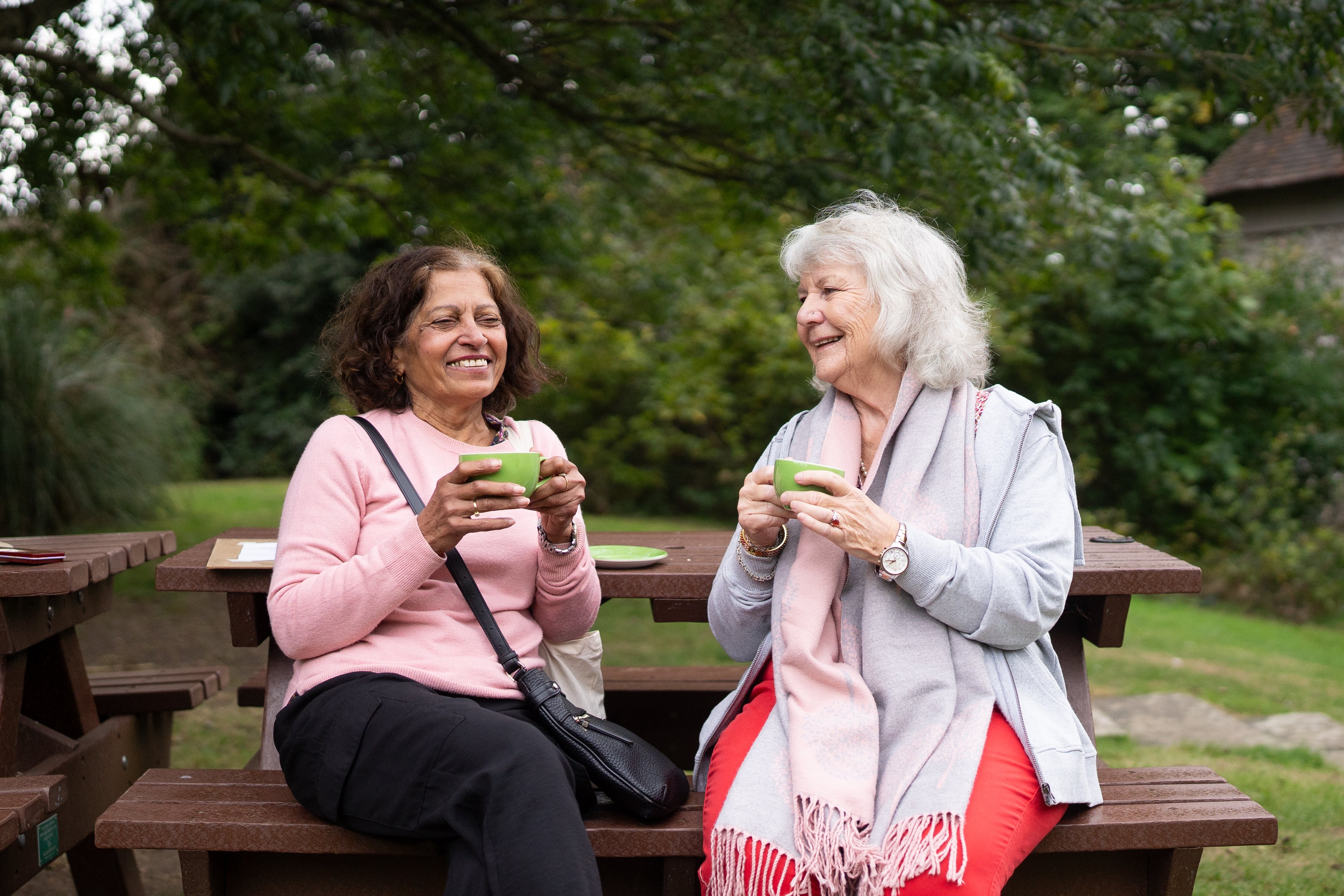 World Health Day 2025: 'Getting long in the tooth' and why oral health matters 