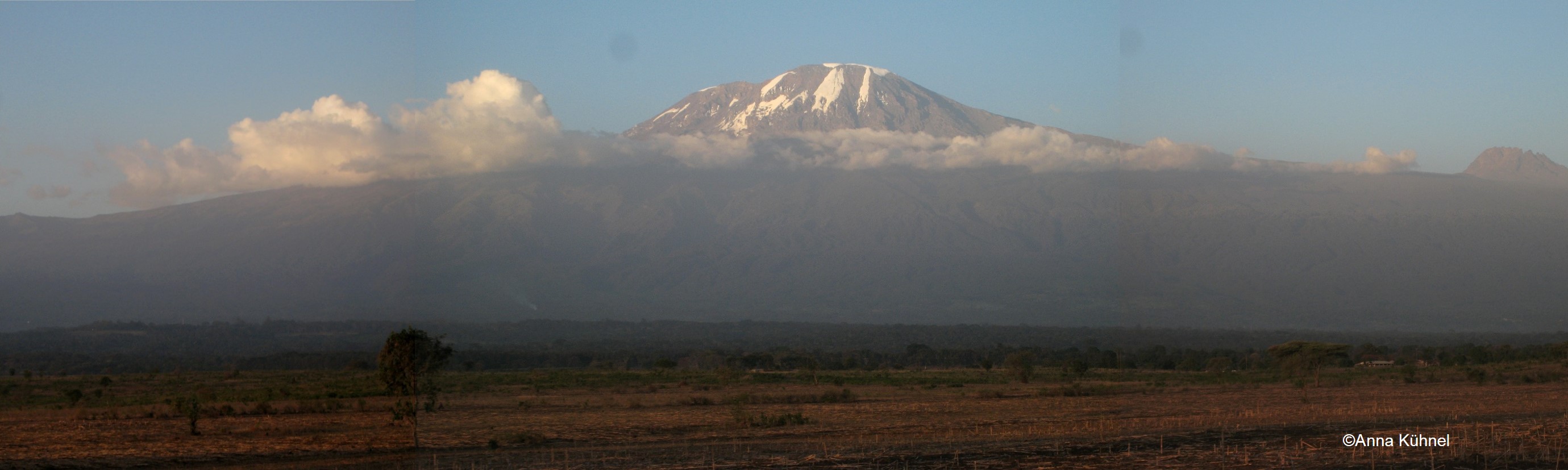 Mount Kilimanjaro’s ecoystems under global change  