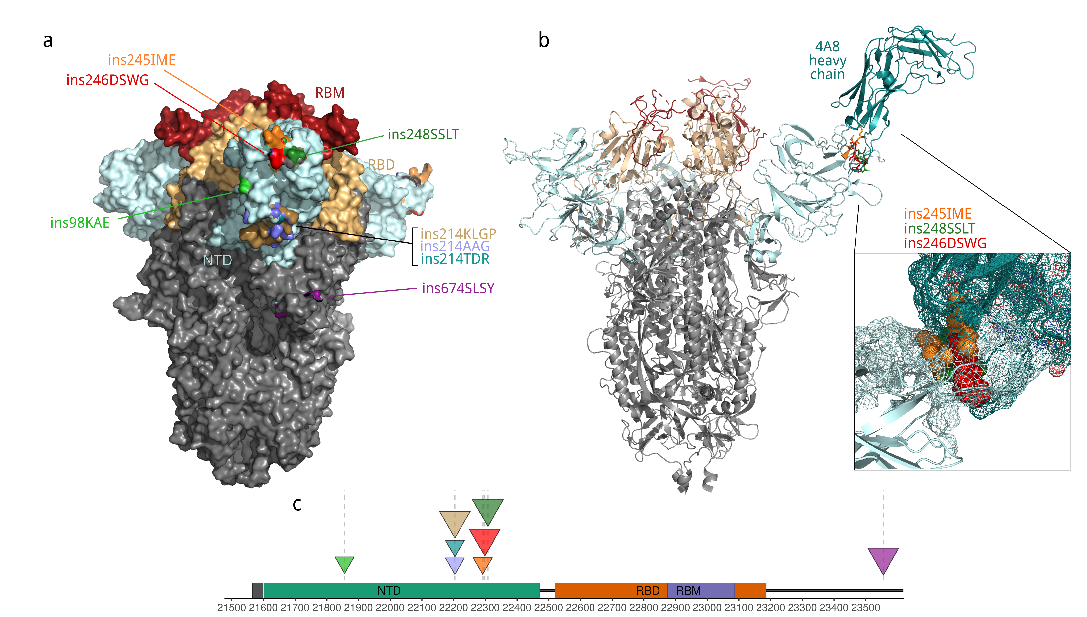Not only single nucleotide variants and deletions are important