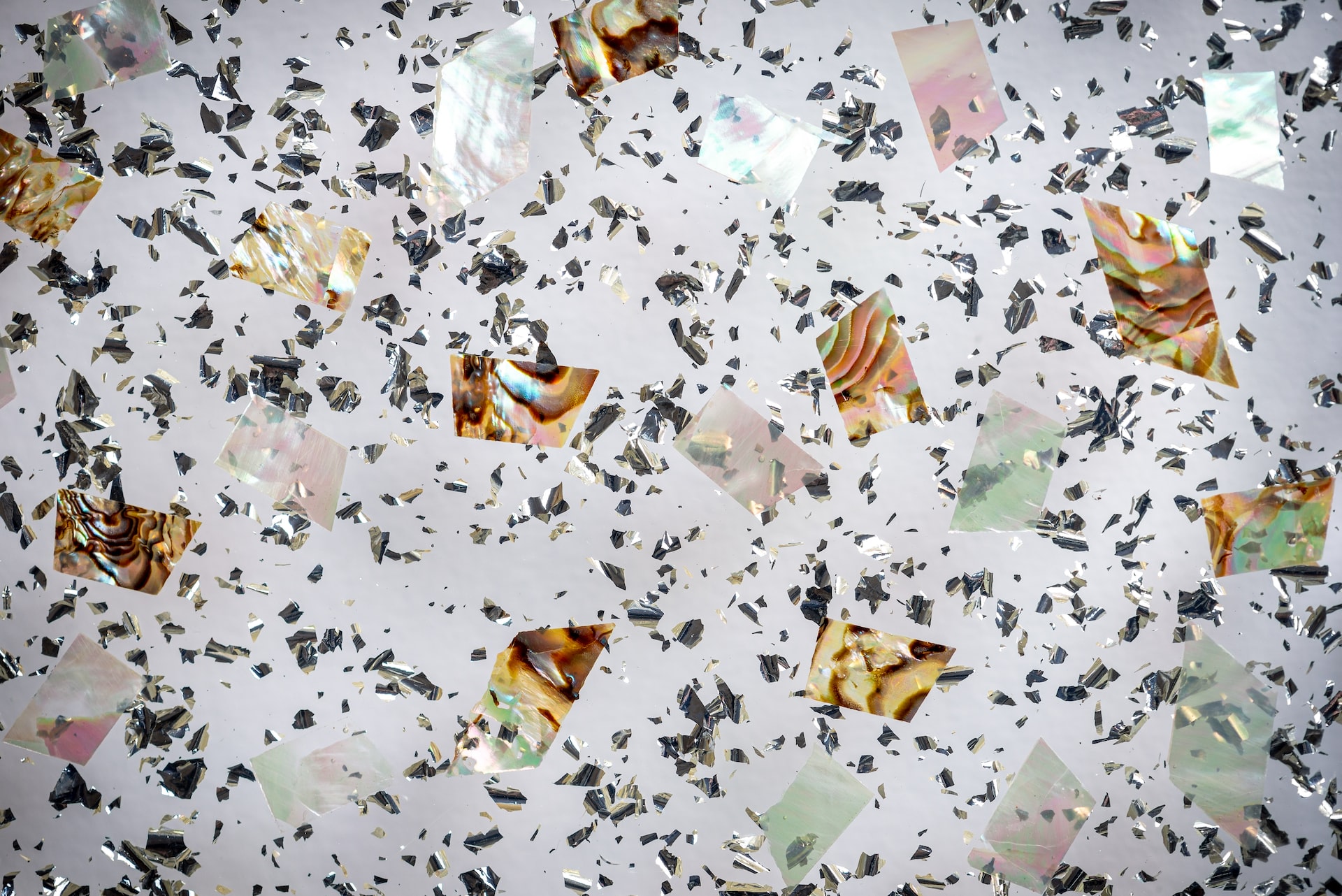 FEBS Junior Section present Jonas Schluter