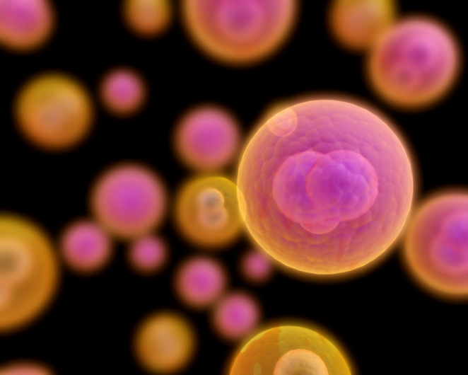 Fusing cells for cancer vaccines