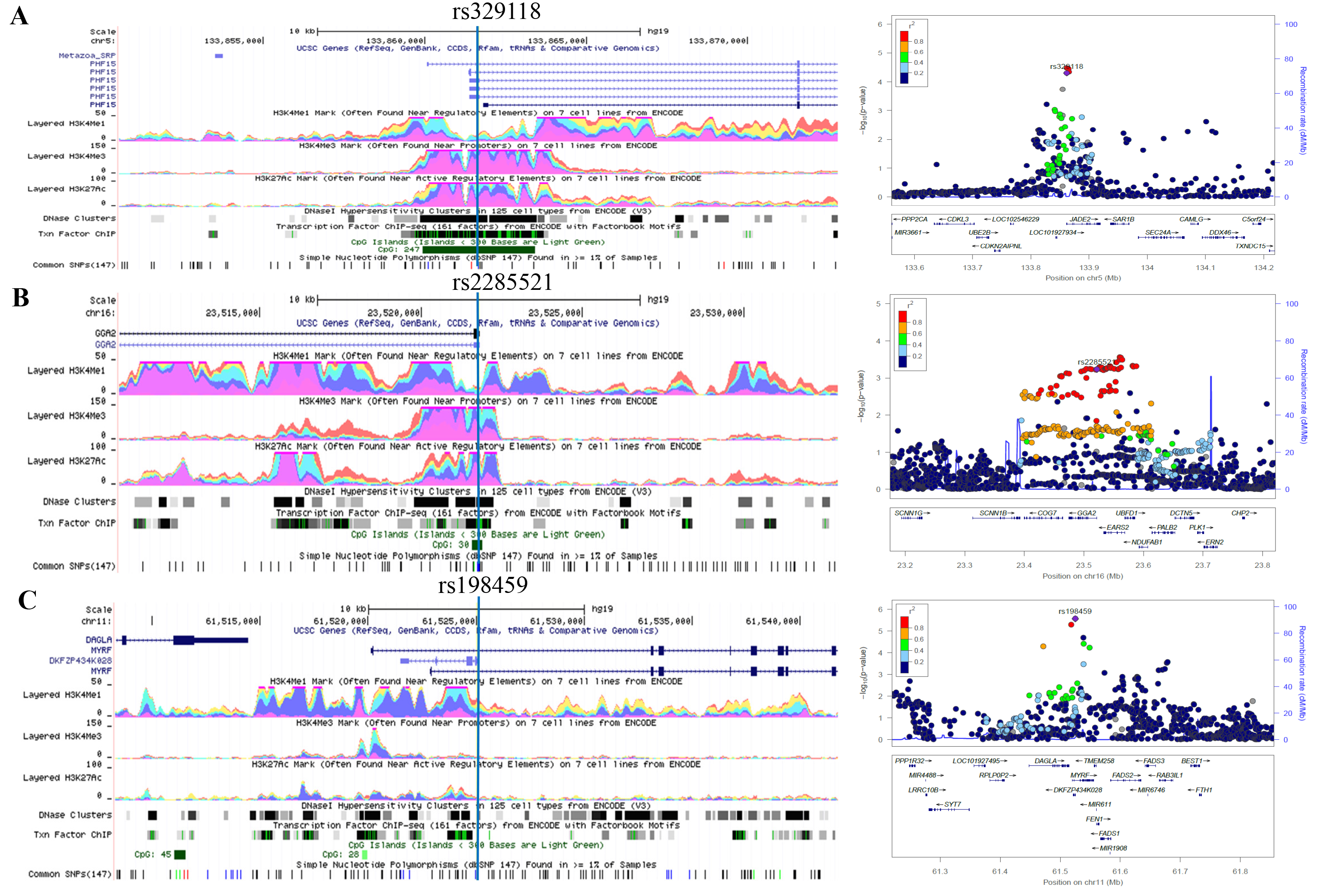 Three RNA splicing-related genetic variants and lung cancer risk: Results from the TRICL-ILCCO and OncoArray projects