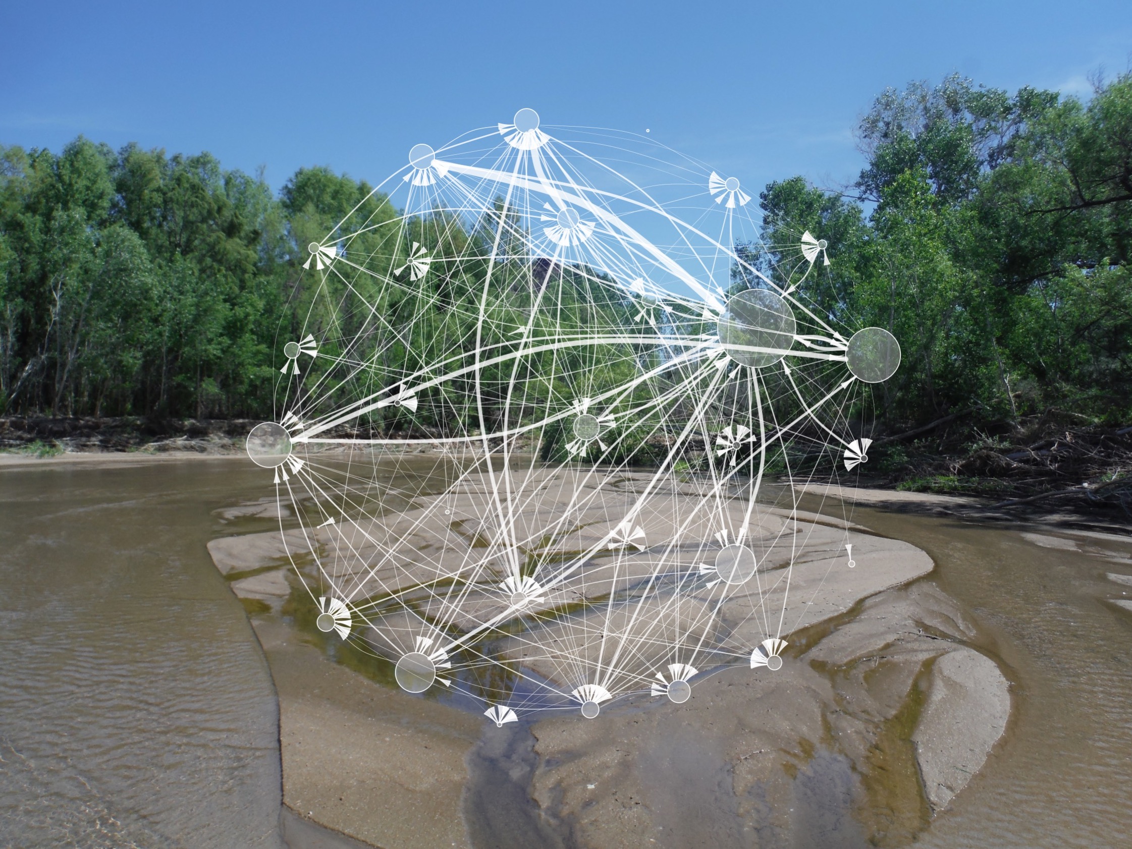 Ecological networks in uncertain river futures
