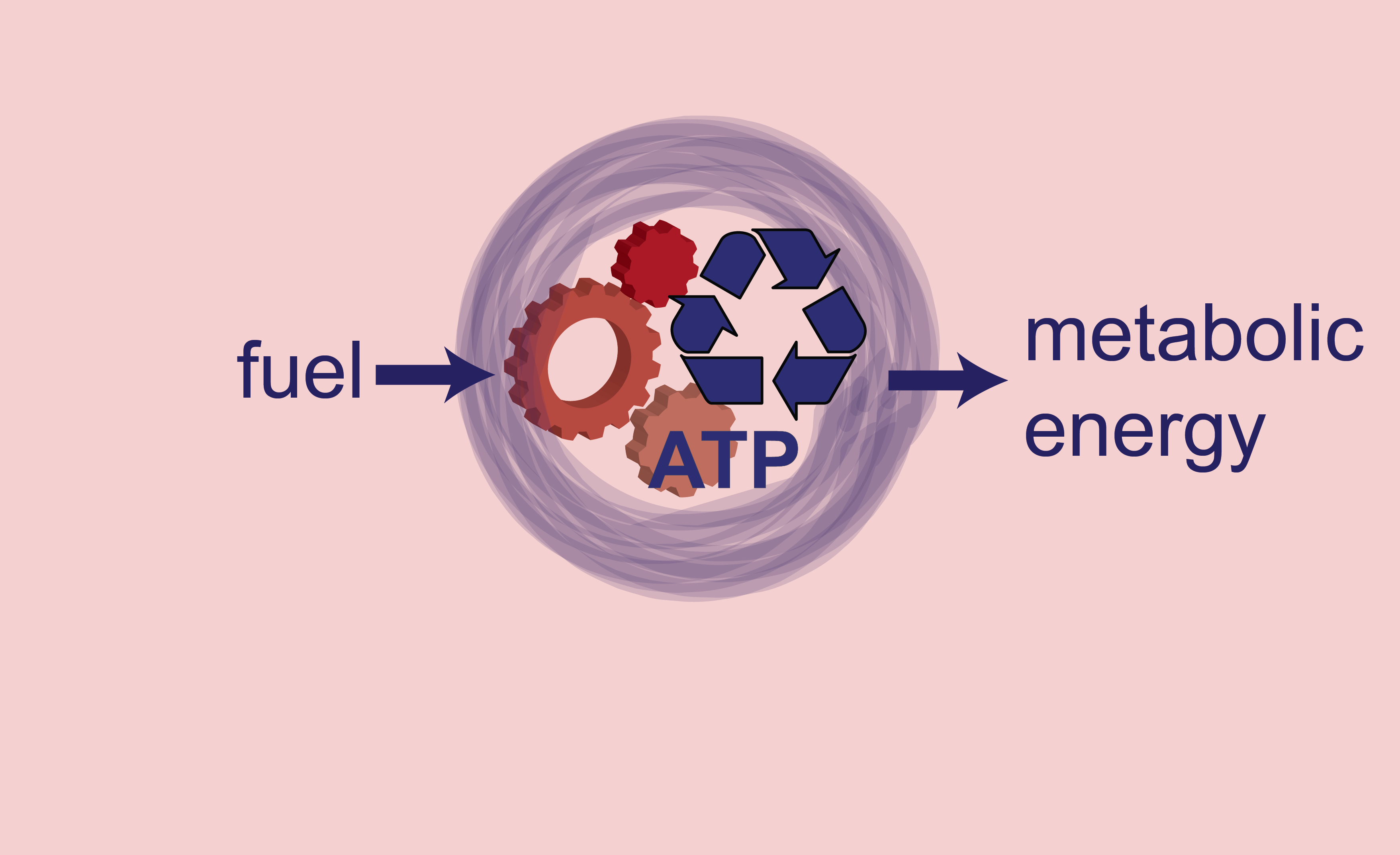 Synthetic  Mitochondria