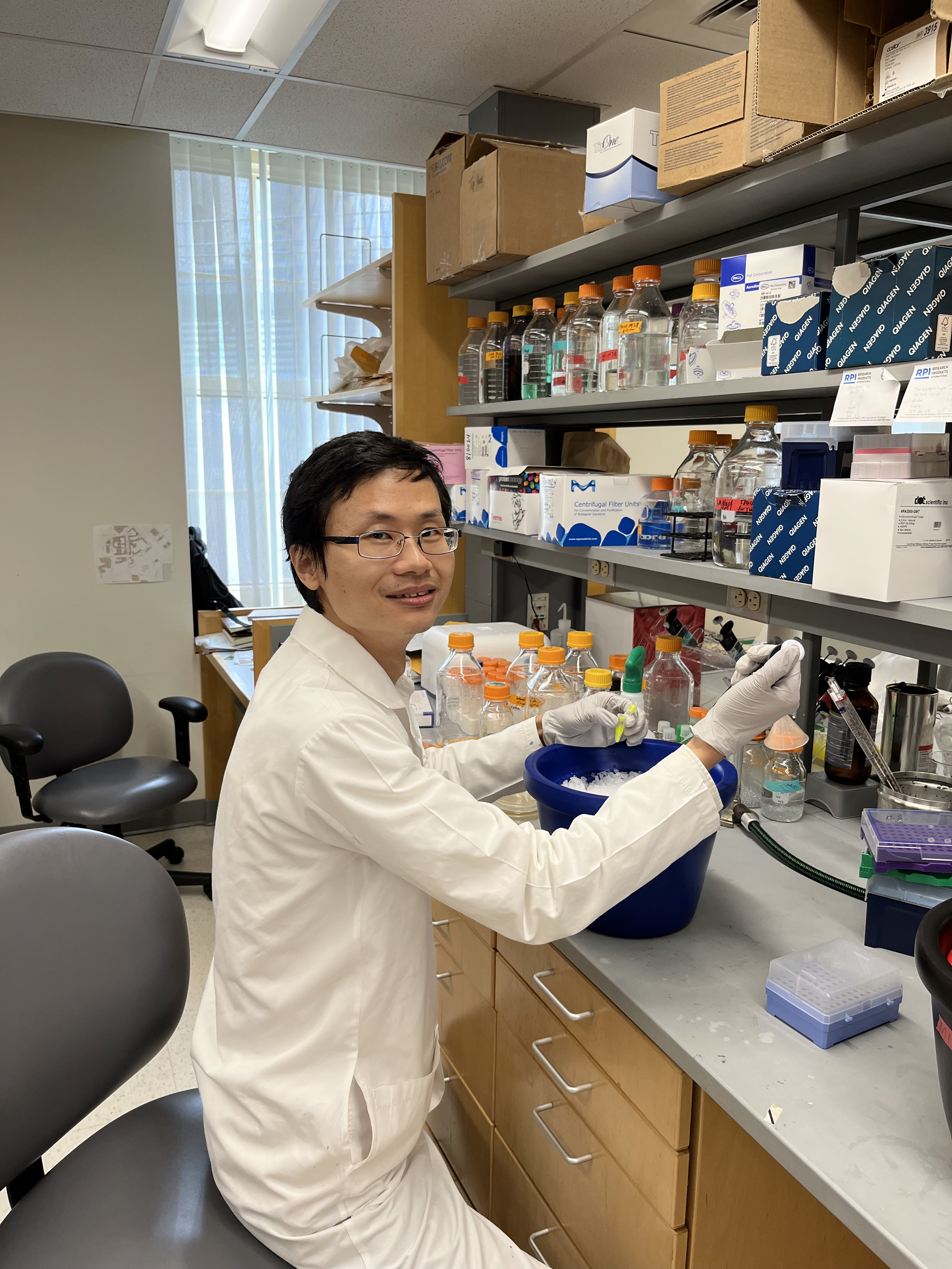 A delicate balance: how do E. coli cells “decide” to synthesize the right amount of lipopolysaccharide (LPS) to protect but not kill themselves?